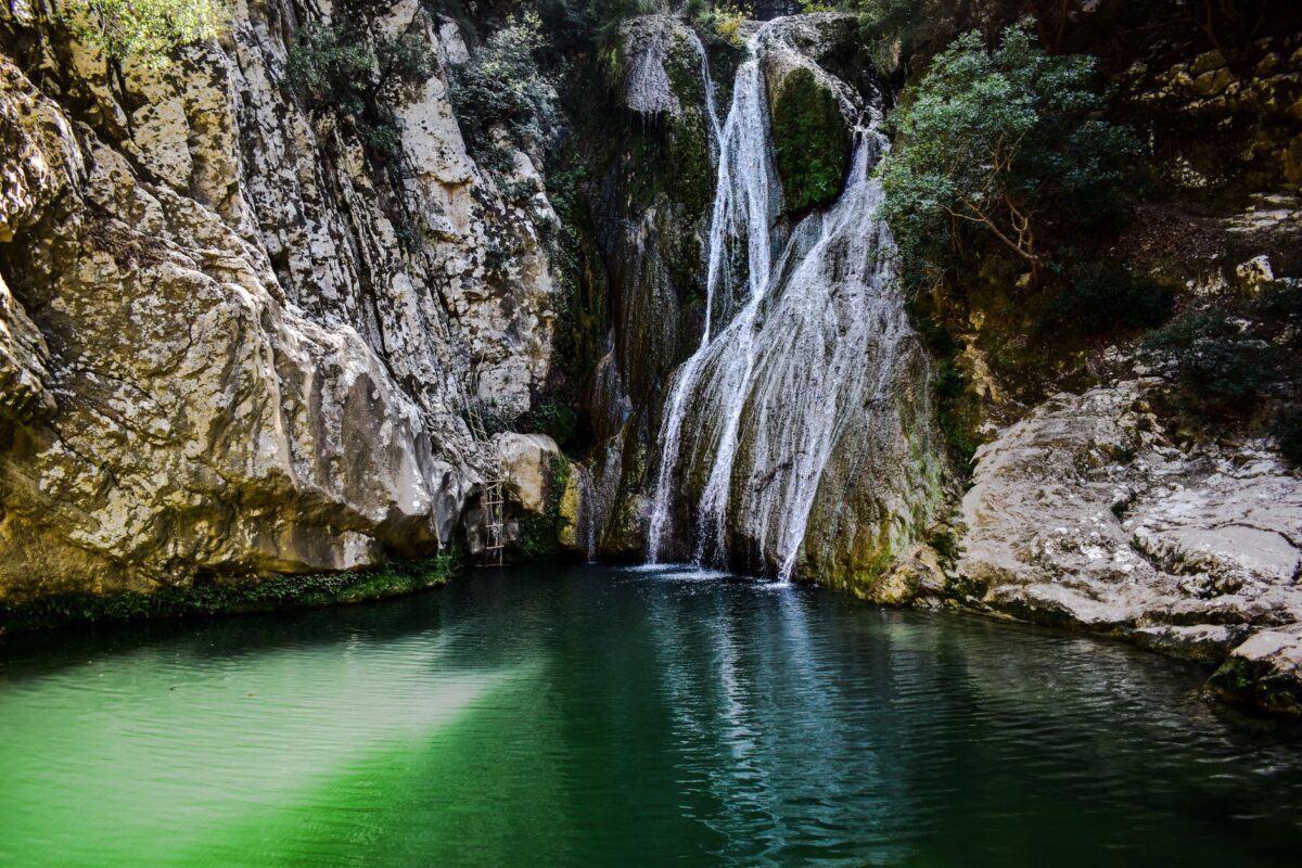 piscine eau verte