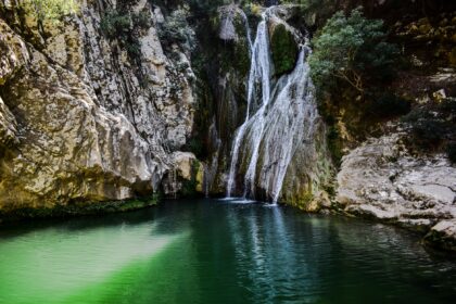 piscine eau verte